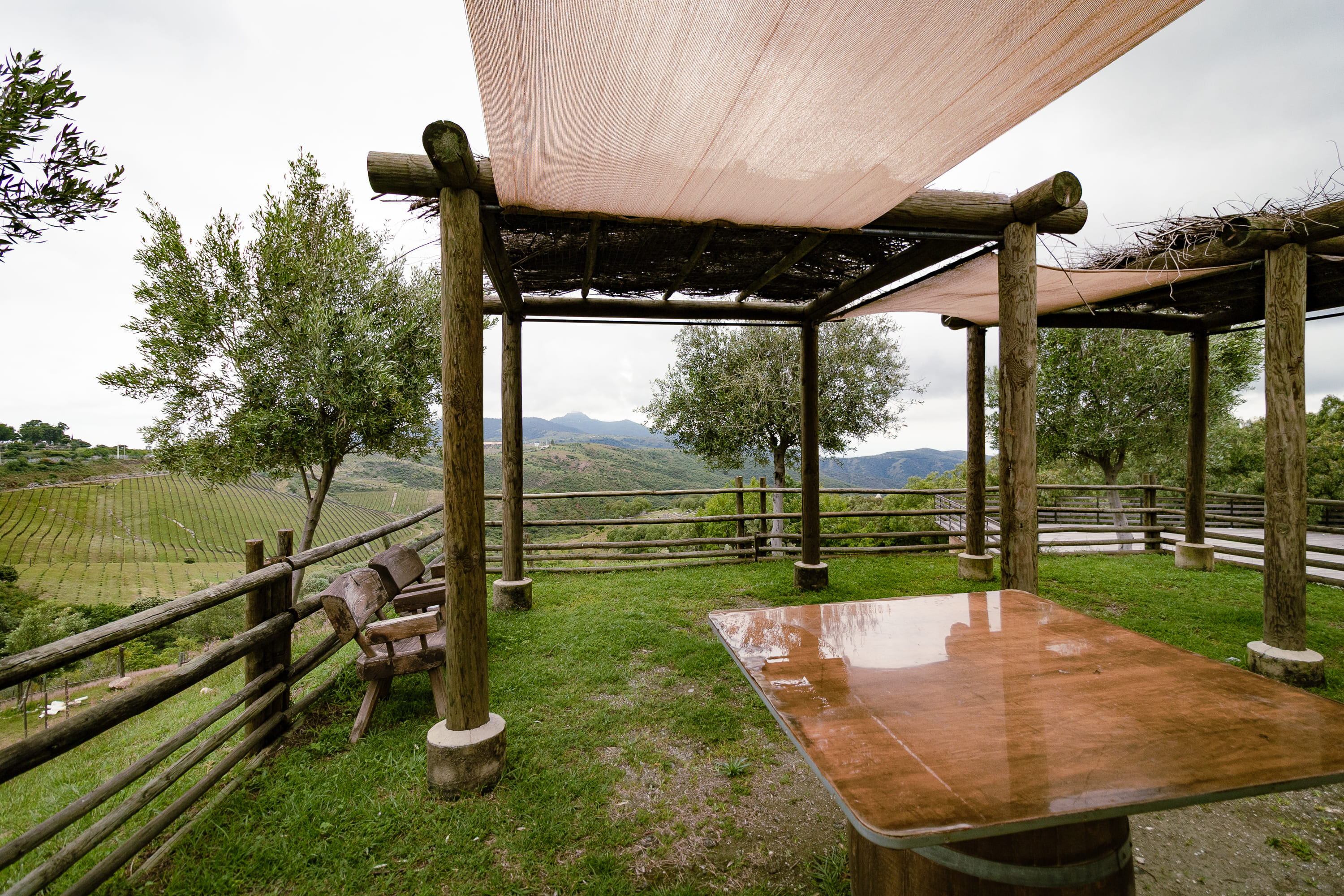 Escenario Terraza Malbec